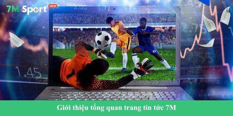 Giới thiệu tổng quan trang tin tức 7M