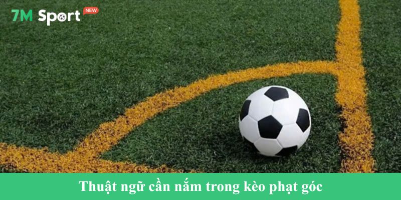 Thuật ngữ cần nắm trong kèo phạt góc