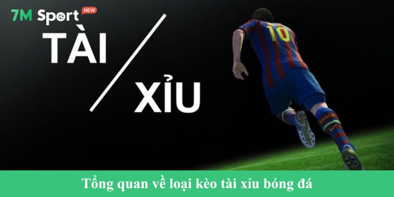 Tổng quan về loại kèo tài xỉu bóng đá